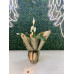 Saksıda Barış Çiçeği (Spathiphyllum)
