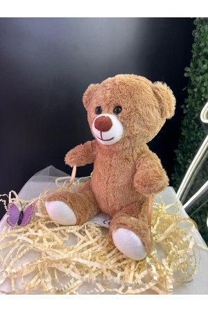 Sevimli Kahverengi Minik Ayıcık