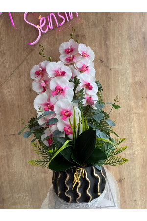 Çift Dal Siyah Saksıda Pembe İç Beyaz Kenarlı Orkide